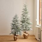 Faux Frosted Potted Floor Trees (4'&ndash;6')