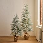 Faux Frosted Potted Floor Trees (4'&ndash;6')