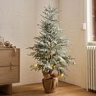 Faux Frosted Potted Floor Trees (4'&ndash;6')