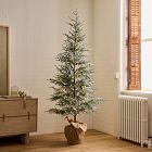 Faux Frosted Potted Floor Trees (4'&ndash;6')