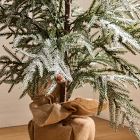 Faux Frosted Potted Floor Trees (4'&ndash;6')
