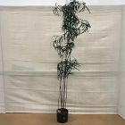 Open Box: Faux Potted Australian Bottleneck Tree (82"H)