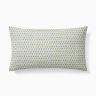 Emma Chamberlain Striped Florals Pillow Set