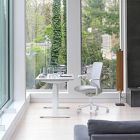 Branch Verve Chair