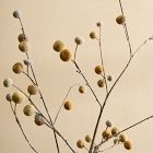 Lone Fox Faux Sugar Berry Branch