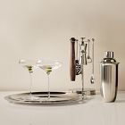 Martini Essentials Gift Set