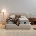 Leesa + West Elm Reserve Hybrid Mattress