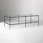 Eira Metal &amp; Glass Coffee Table (55")