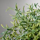 Faux Potted Drippy Plant