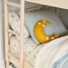 Felt Moon Pillow