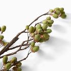 Faux Kiwi Pod Branch