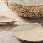 Seashell Stoneware Serveware Collection