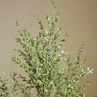 Faux Potted Grass Tree