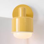 Emerson Swivel Sconce (8")