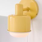 Emerson Swivel Sconce (8")