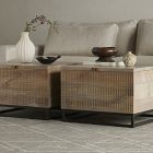 Carved Mango Wood Storage Coffee Table (24")