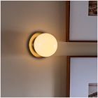 Mitchel Sconce (6")