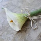Catenary Flora Cat Teaser Wand Toy