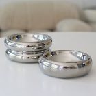 Catenary Halo Chrome Pet Bowl