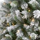 Faux Flocked Oregon Christmas Tree (5'&ndash;9')