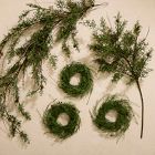 Faux Juniper Pine Cone Collection