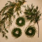 Faux Juniper Pine Cone Collection