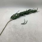 Open Box: Faux Long Leaf Eucalyptus Branch (54")