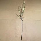 Open Box: Faux Blossom Branch (57") - Green, Multi