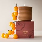 Garden Homescent Collection - Tomato Leaf