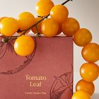 Garden Homescent Single Wick Candle - Tomato Leaf