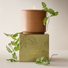 Garden Homescent Collection - Jasmine &amp; Mint