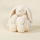 Coco Village Rabbit Plush Snuggling Blanket