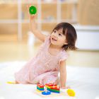 PlanToys Wooden Geometric Sortign Board