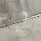 Open Box: Sculptural Pendant, Globe Glass Shade (8.5"Diam) - Clear