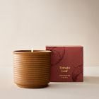 Garden Homescent Single Wick Candle - Tomato Leaf