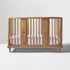 Sprig Convertible Crib