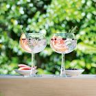 Gin Balloon Glasses (Set of 2)