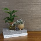 Tempaper Sisal Authentic Grasscloth Unpasted Wallpaper