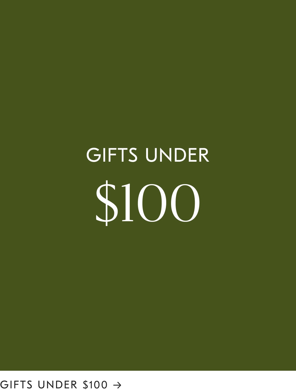 Gifts under $100