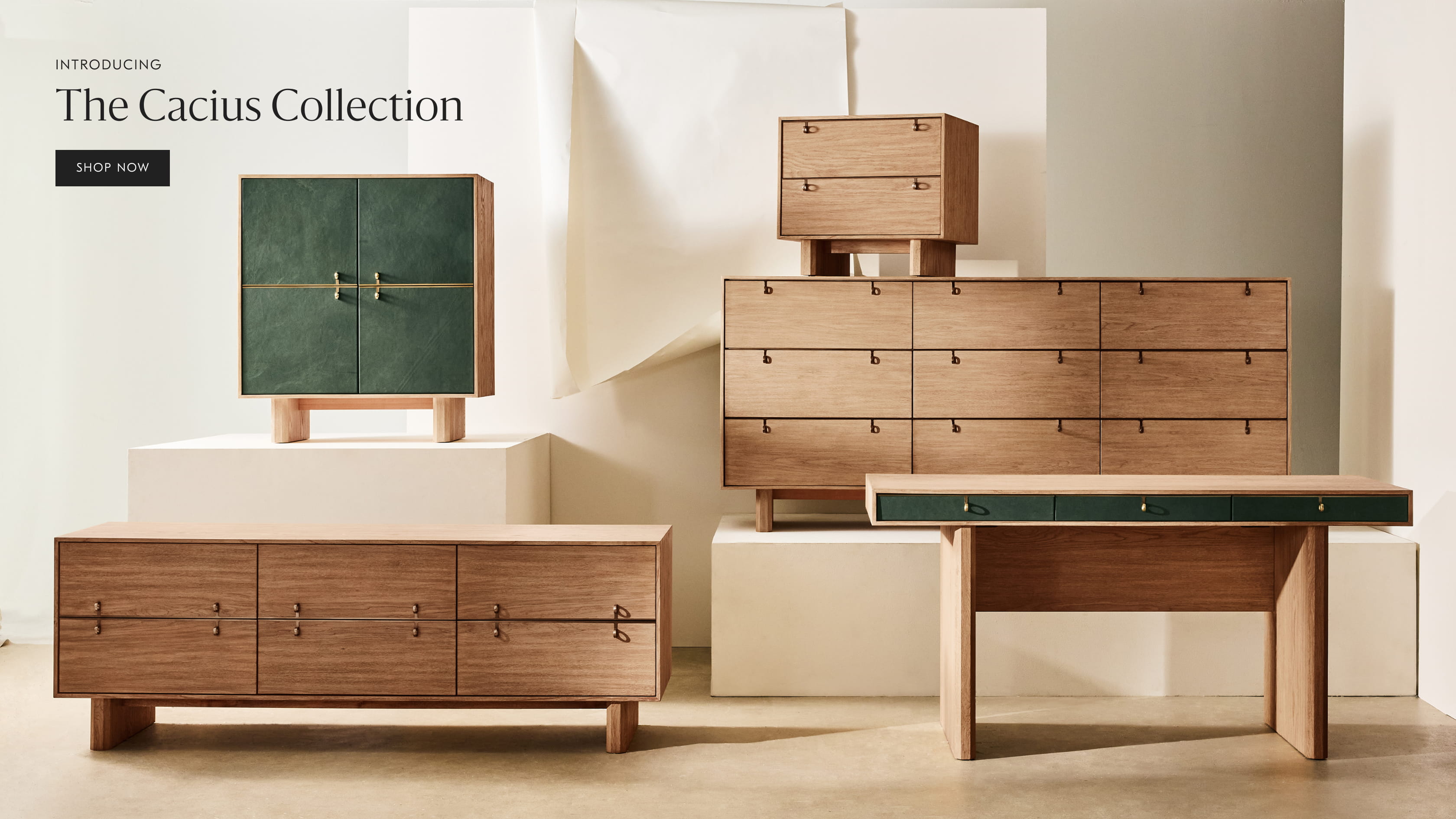 The Cacius Collection The Cacius Collection