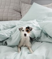 bedding 101 bedding 101