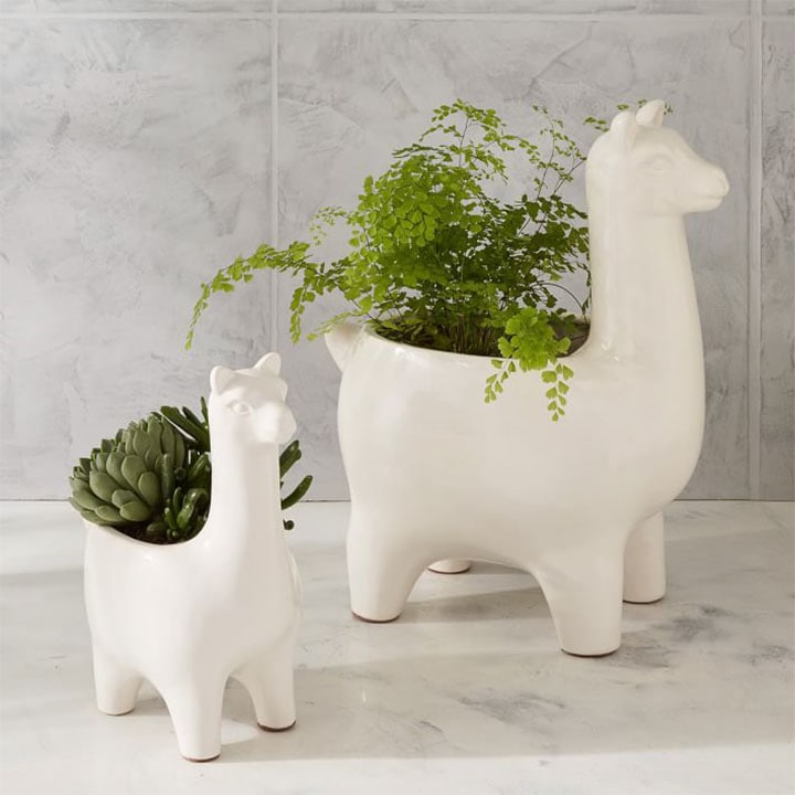 matching ceramic llama planters with plants