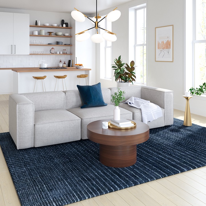 Minimal living room with a blue throw pillow and a navy area rug