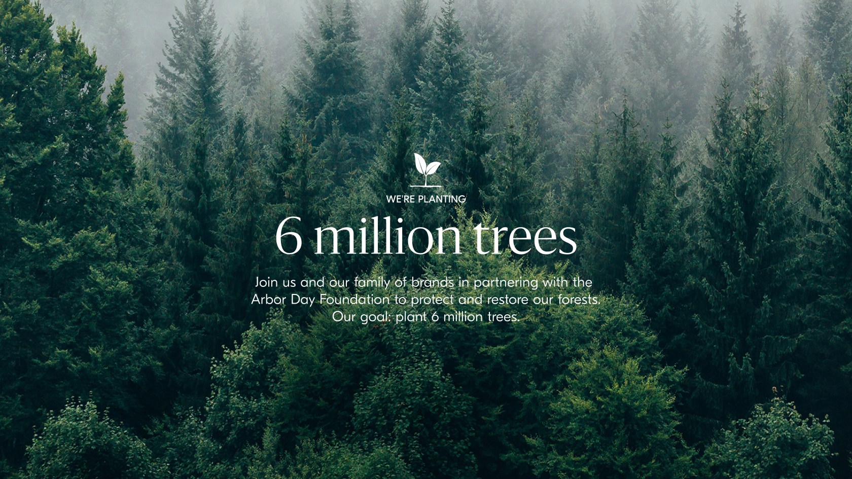 6 million trees by the end of 2024