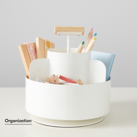 Orgaization