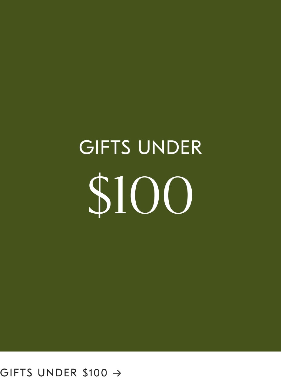 Gifts under $100