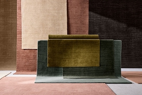 Shop new rugs