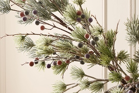 Winter Botanicals