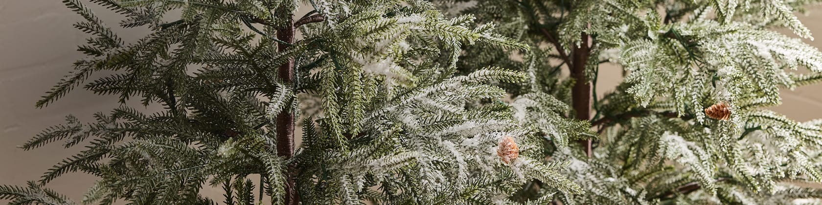 The Christmas Tree Shop
