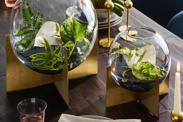 Host The Perfect Dinner Party